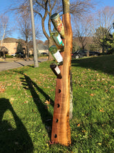 Load image into Gallery viewer, Live edge walnut wine rack